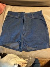 Vintage Sassoon Shorts