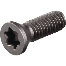 Spannschraube TECWERK Klemmschraube Wendeplattenschraube