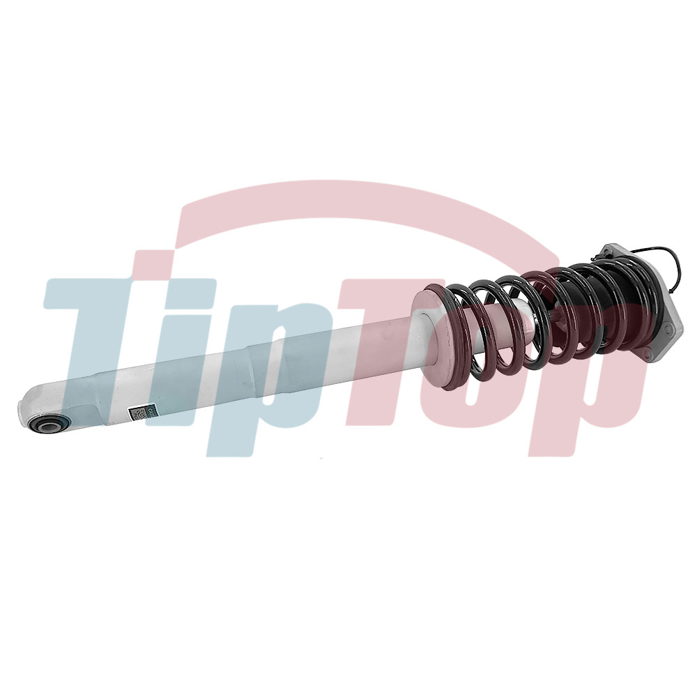 Front Shock Absorber Struts Fit Maserati Quattroporte M139 Sport #248255 #226147