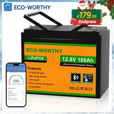 ECO-WORTHY Batería de litio 12V 100Ah LiFePO4 Bluetooth batería solar sistema solar