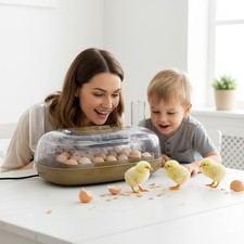 24 Egg Incubator Automatic Egg Turning LED Candler Temperature Humidity Control