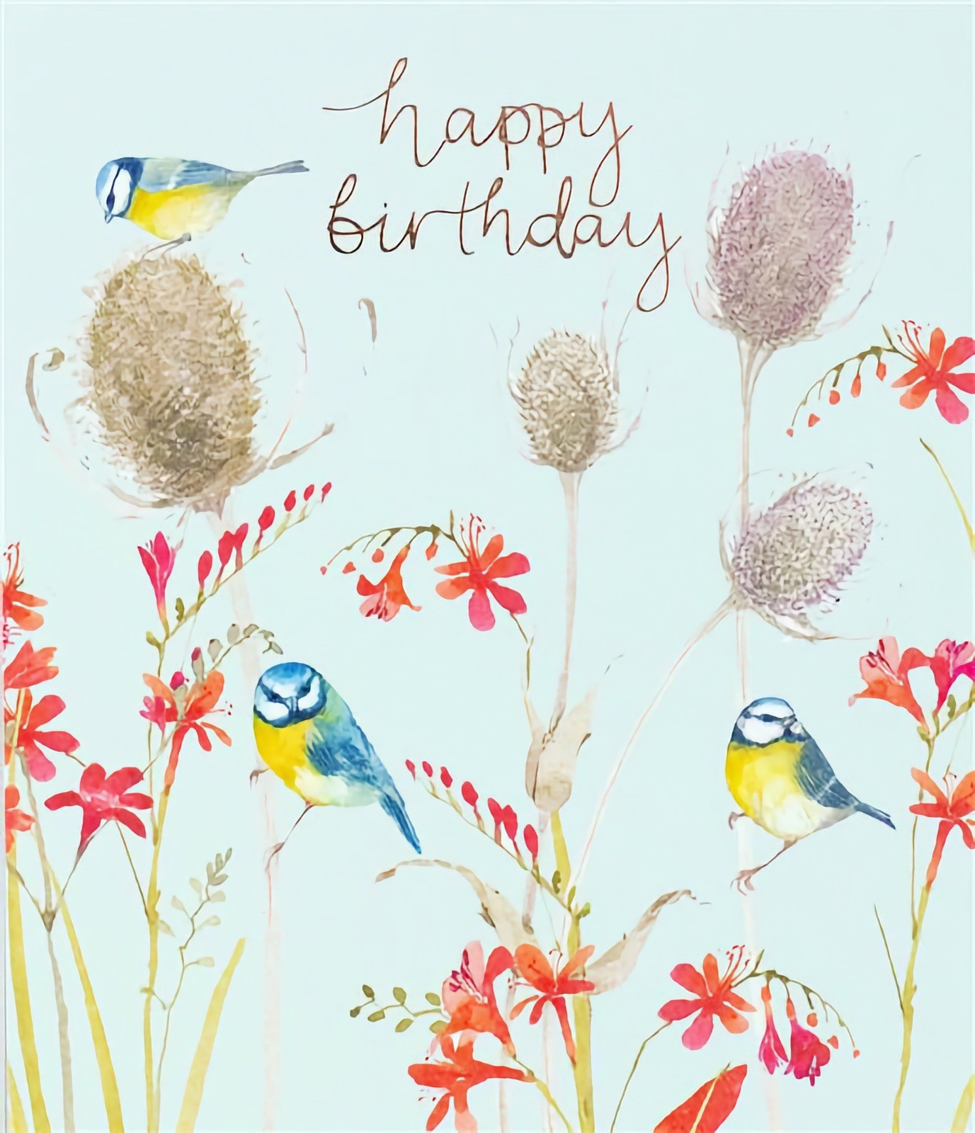 Premium Birthday Card Birds Bluetits Female Mum Nan Sister Daughter Friend