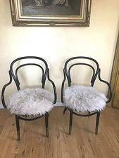 Vintage Pair of Original Shelby Williams Bentwood Thonet Style Arm Chairs