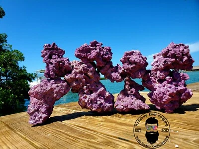ADDICTIVE REEF KEEPING 20 lbs Purple Coraline Med/Lrg Dry Reef Base Rock, Lightweight, Porous, Live
