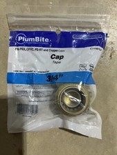 Jones Stephens C77451LF 3/4" PlumBite Push On Cap - Brass