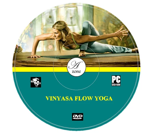 Learn Vinyasa Flow Yoga DVD Video Excercise For Cardio Flexibility Weight Loss