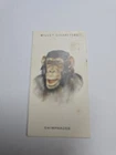 Cigarette card  wills -wild animals heads  - No 15 - free postage - lot  1086