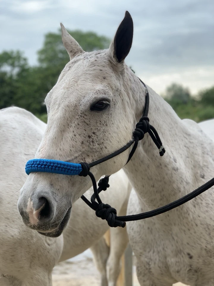 Handmade Rope Headcollars  - Image 2 of 4