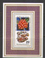 Rwanda 1975 Coffee Beans/Food/Farming/Agriculture/Labour Year 1v m/s (n22304)