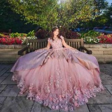 Elegant Quinceanera Dresses Ball Gown Beaded Appliques Lace Up Back Sweet 15 16