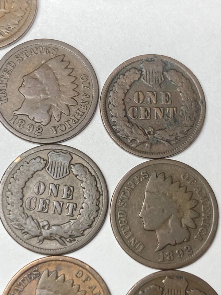 1892 INDIAN CENT ROLL, 50 nice condition coins, 133 year old coins - Image 4 of 4