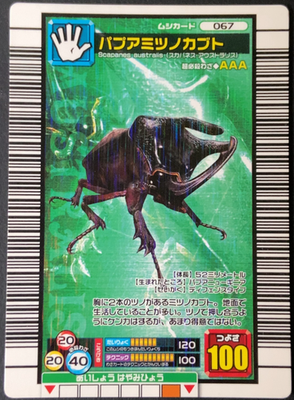 Beckius beccarii Mushiking 067 Mushi Card Sega Japanese 01 | eBay Beckius beccarii Mushiking 067 Mushi Card Sega Japanese 01 | eBay