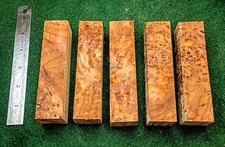 5 Pack Maple Burl Turning Blanks 5 x 1 3/16 x 1 3/16 Figured Wood