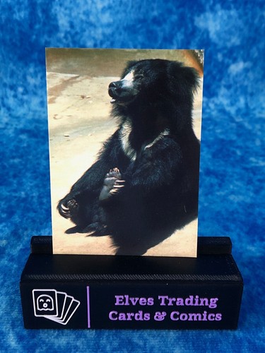 The World Famous San Diego Zoo Animals of the Wild SINGLE Non-Sport Trading card - Picture 25 of 194