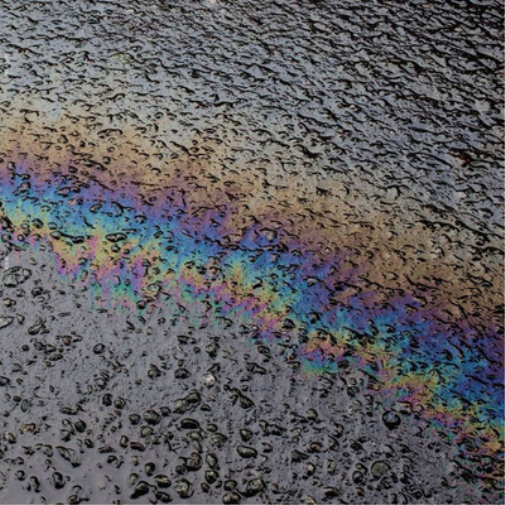 Laurel Halo In Situ (CD) Album