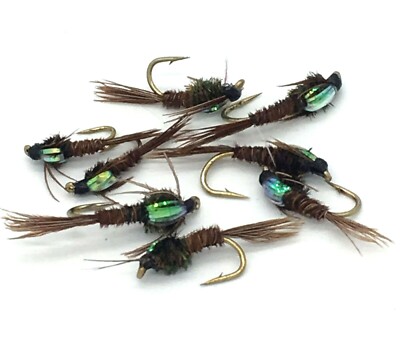 Fly Fishing PHEASANT TAIL NYMPHS Flashback Set sizes 10-14 Eight (8) flies #1