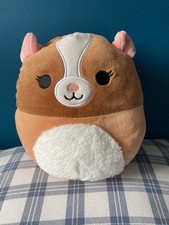 Garret the Guinea Pig Squishmallow Plush Toy - approx 7.5