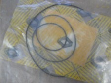 Winnebago Lesharo  seals ???