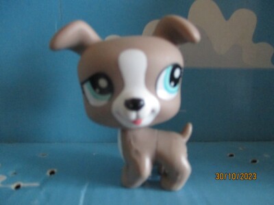 Figurine Littlest Pet Shop Hasbro - Chien Boxer N°1500 - Occasion