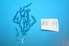 Bild 62 von 113