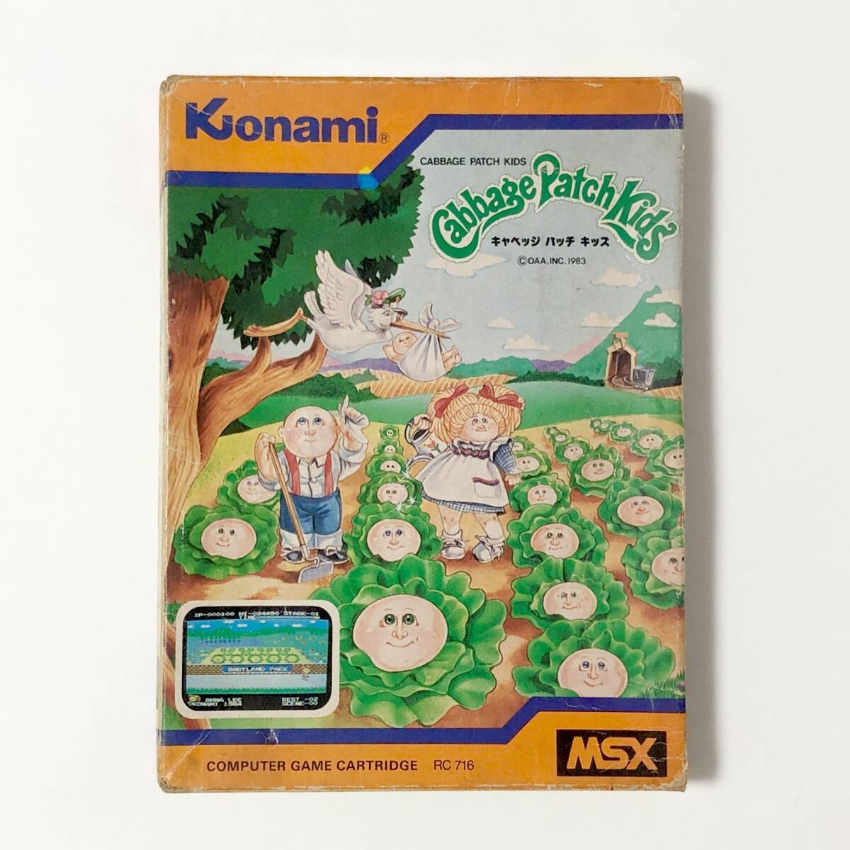 MSX キャベッジ パッチ キッズ