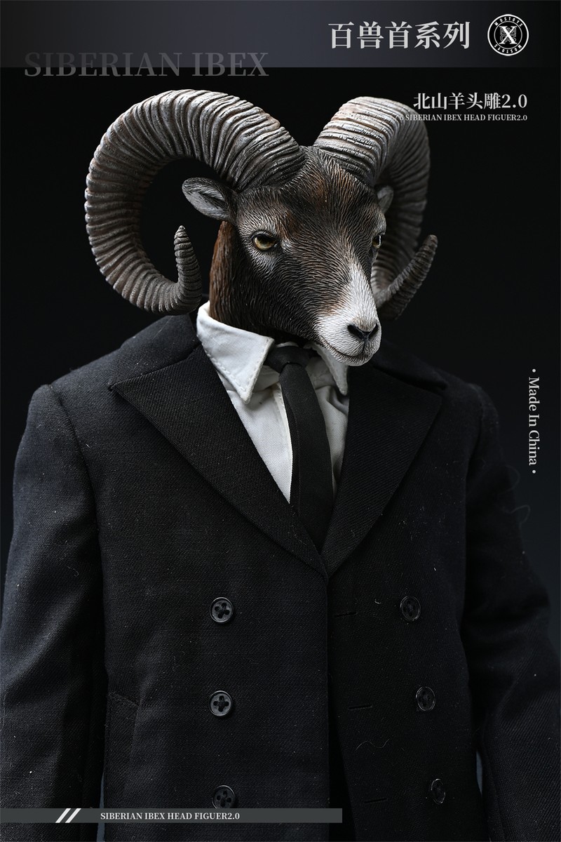 MOSTOYS シベリアアイベックス Mostoys 1/6 Siberian Ibex Head 2.0 Figure – Lana Time Shop