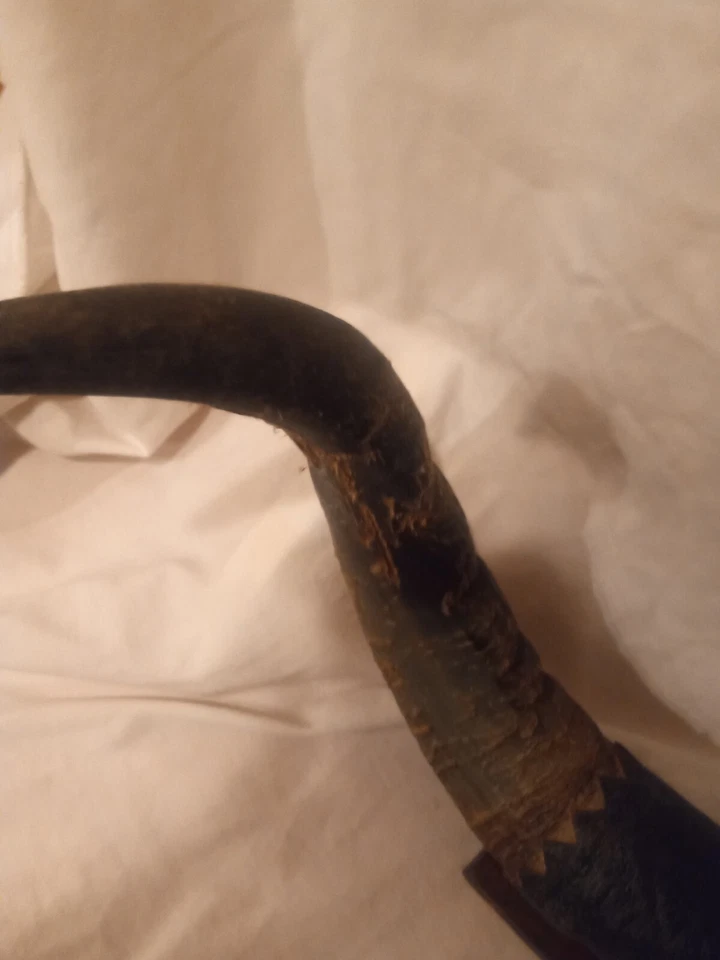 Bull Horns 21" de MP y KD Horn Shop Foto 2 de 4