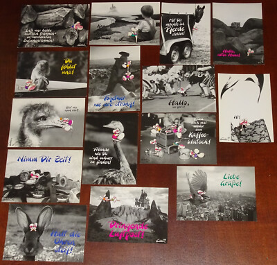 Diddl Postkarte Photocards Foto Photo Karte card AUSWAHL riesen Rarität