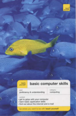 Teach Yourself Basic Computer Skills (TY Computing), Moira Stephen, Used; Very G