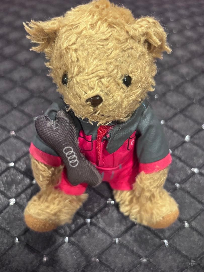 Audi Car Collection Sports item original Accessory
