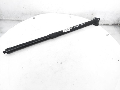 2014-2020 Acura Mdx Passenger Right Trunk Lift Support Strut Shock