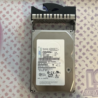 IBM 73GB 15K RPM SAS 3.5'' Hot Swap Hard Drive