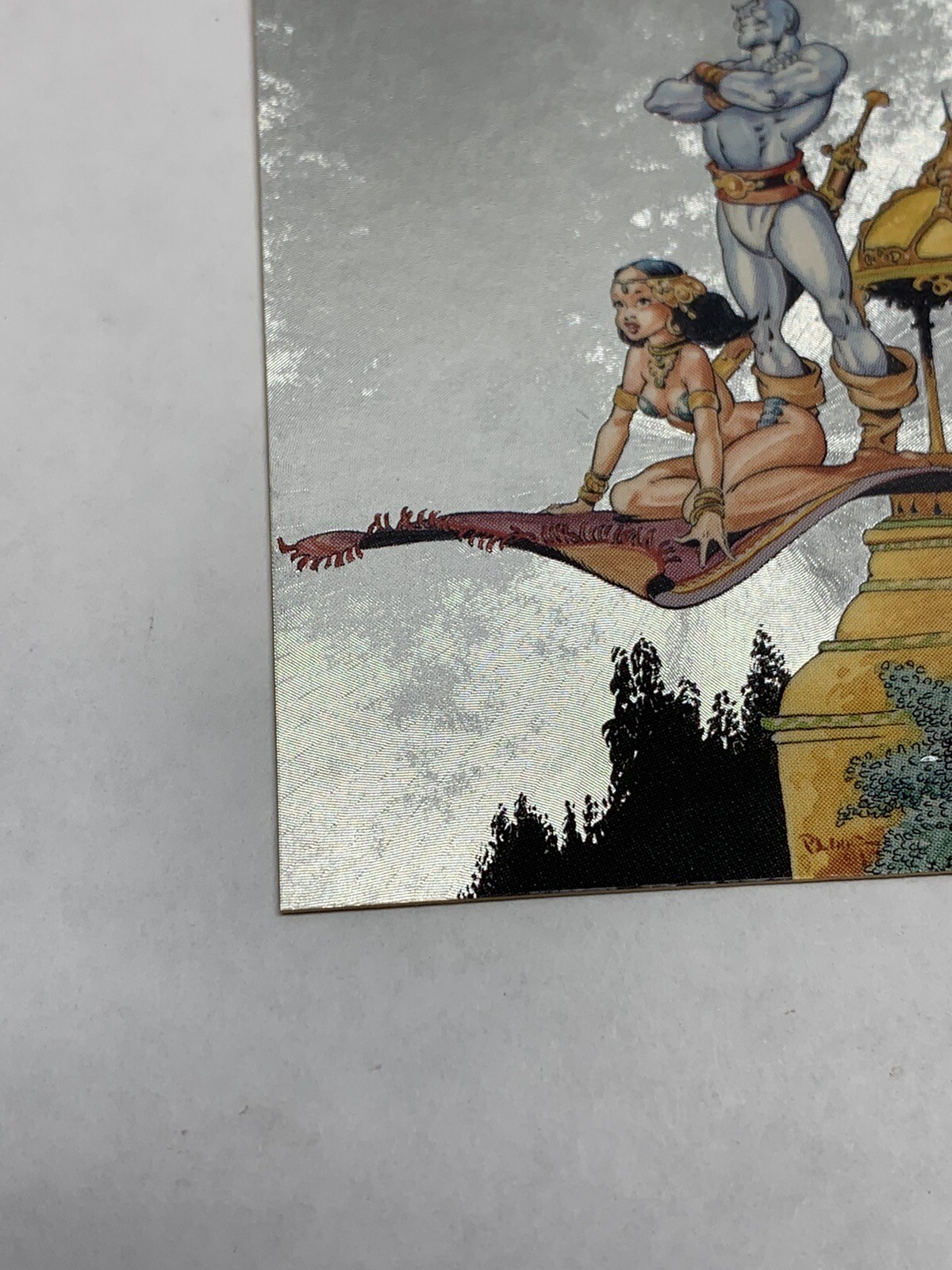 Picture 5 of 13