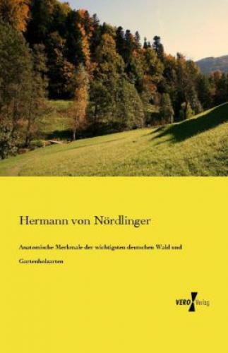 Thumbnail - Anatomische Merkmale Der Wichtigsten Deutschen Wald Und