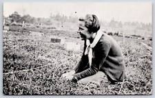 Postcard Handpicking Cranberries On John Elo's Bog, Long Beach WA Unposted
