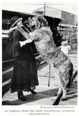 Irish Wolfhound ''Embrace'' - CUSTOM MATTED - 1930's Dog Art ''Photo Print''