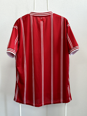 FC Bristol City 2023-2024 Home Football Soccer Jersey Oneills