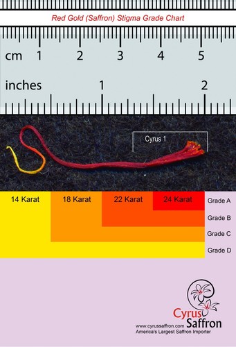 CYRUS SAFFRON, 5 GRAMS OF 100% PURE NATURAL RED SPANISH SAFFRON - 第 3/8 張圖片