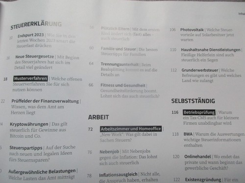 Buhl / Tax SteuerMagazin 2024: Kryptogewinne, steueroptimierter Urlaub, Familie - Bild 2 von 4