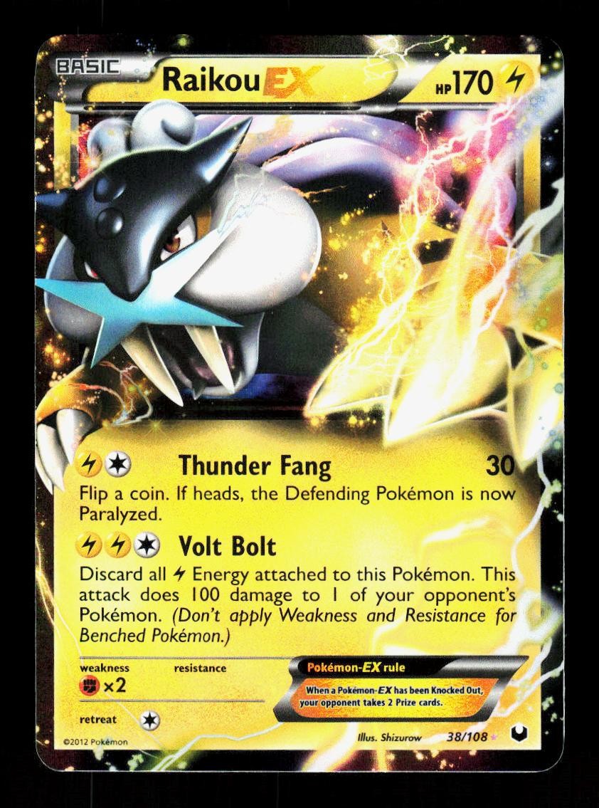 Raikou EX 38/108 Holo EX Rare Dark Explorers Pokemon Holo NM