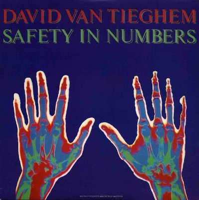 David Van Tieghem - Safety In Numbers LP Album Vinyl Electronic,Rock 0137