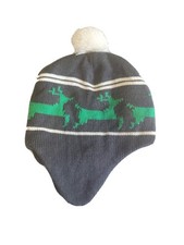 Youth Knit Beanie W/ Ear Flaps  Pompom Fairisle Print Gray  Green Unisex OSFM