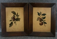 Vintage Wood Framed Print IBF CO IBFCO Wall Hanging Apple Botanical Pair