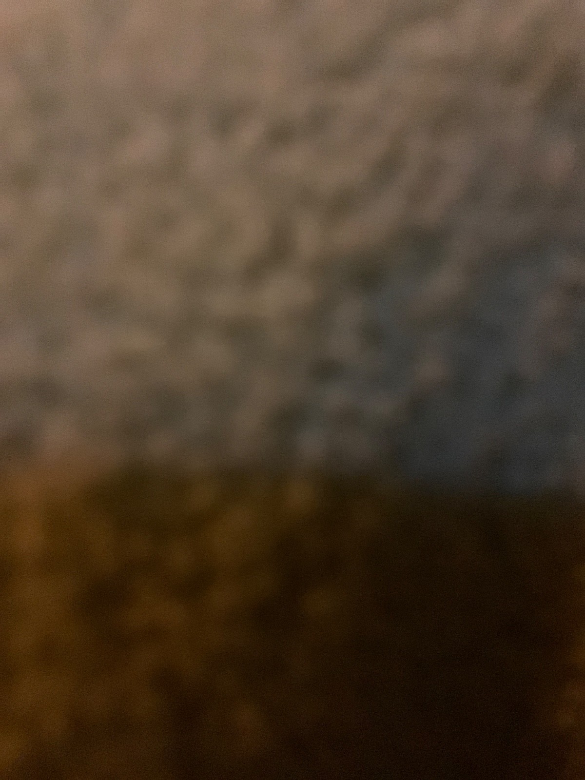 yellow jacket - image 1