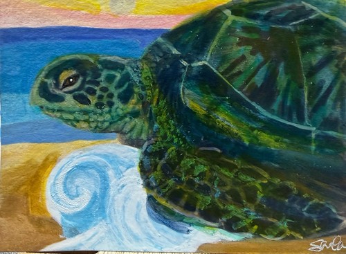 ACEO OOAK Sheila Lofgreen“Turtle Sunset” Acrylic by Sheila Lofgreen 