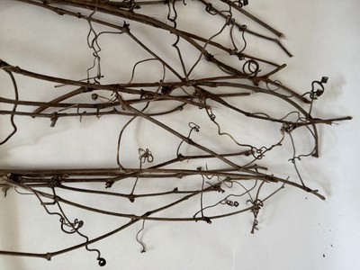 Huge Lot Of Grapevine tendrils & twigs Dried Natural floral Craft & small pets