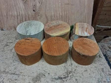 Pin Oak Plum Red Alder Wood Turning Bowl Blanks 6p lot