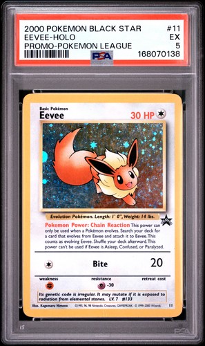 Eevee graded PSA 5 for sale on eBay