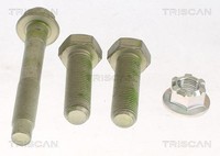 Triscan Sensorring, ABS 8540 25402 FüR Renault