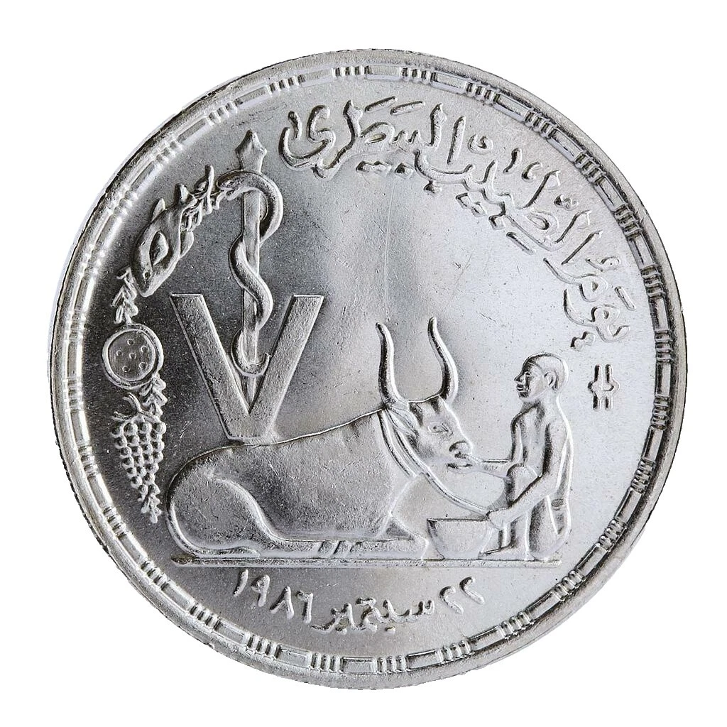 Silver 1987 African Coins